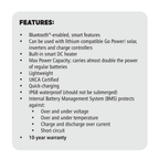 Go Power! 100Ah Advanced Lithium Battery 12V | Sun Cycle® LiFePO4 | Bluetooth (83156)